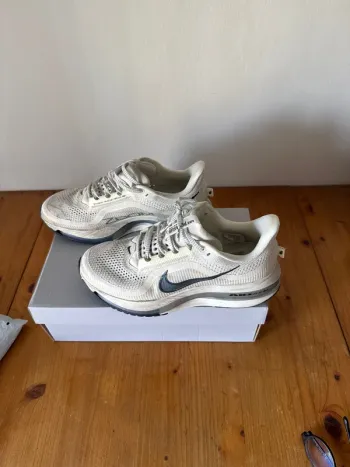 Used Pegasus Premium Running Shoes