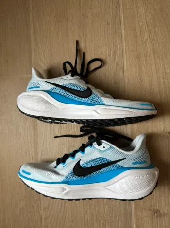 Used Pegasus Air Zoom 41 bike — image 2 of 2