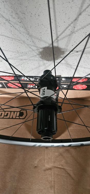 Roval alpinist cl 2026 bike usato — immagine 3 di 6