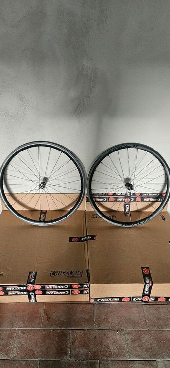 Roval alpinist cl 2026 Wheels usato