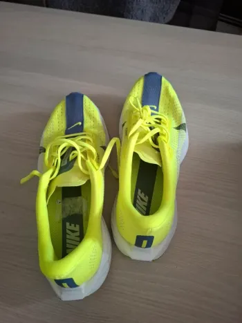 Gebrauchtes Pegasus Zoom Running Shoes