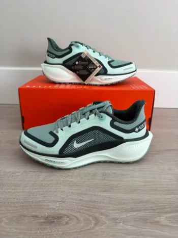 Used Pegasus Nike Zoom 41 GTX Running Shoes