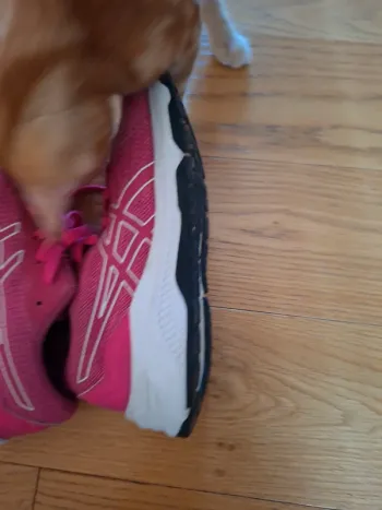 Used Asics Running Shoes 37.5 bike — image 4 of 5