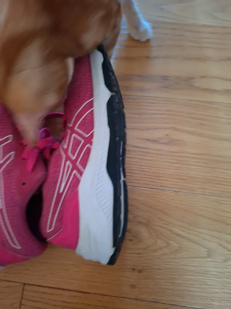 Used Asics Running Shoes 37.5 bike — image 4 of 5