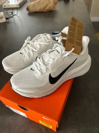 Used Pegasus 42 Running Shoes