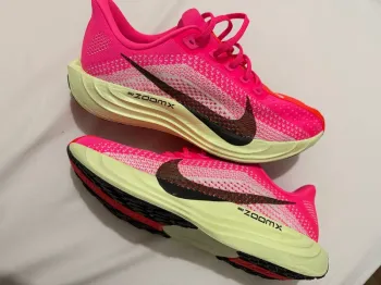 Used Pegasus Plus Running Shoes