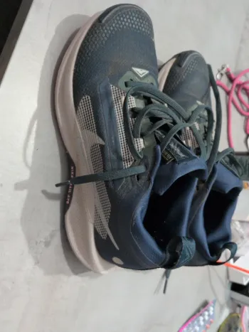 Brugt Pegasus Trail 5 GTX Running Shoes