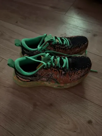 Tweedehands Asics Noosa Tri 16 Running Shoes