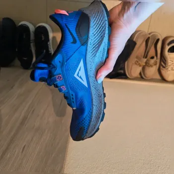 Used Pegasus Trail 3 Running Shoes