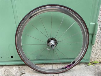 Použité Campagnolo Shamal 8 Wheels Wheels