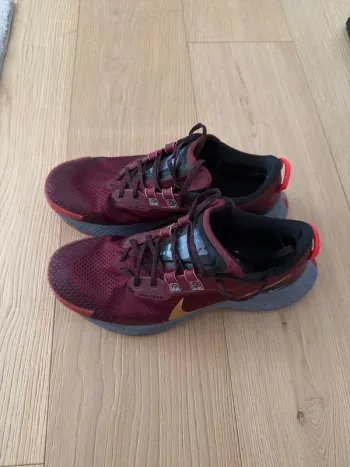 Used Pegasus Trail Running Shoes