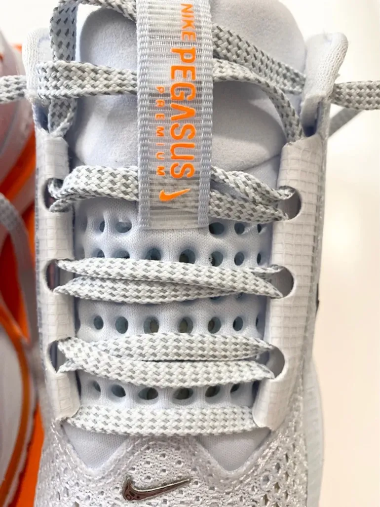 Used Pegasus Nike bike — image 4 of 11