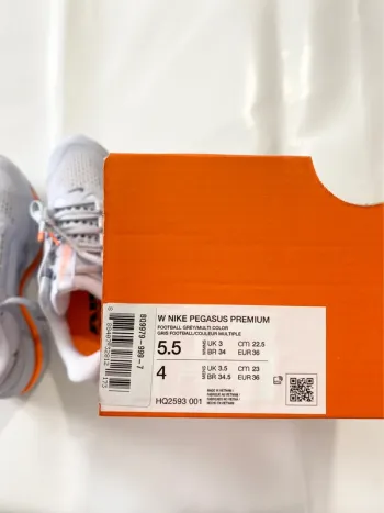 Used Pegasus Nike bike — image 10 of 11