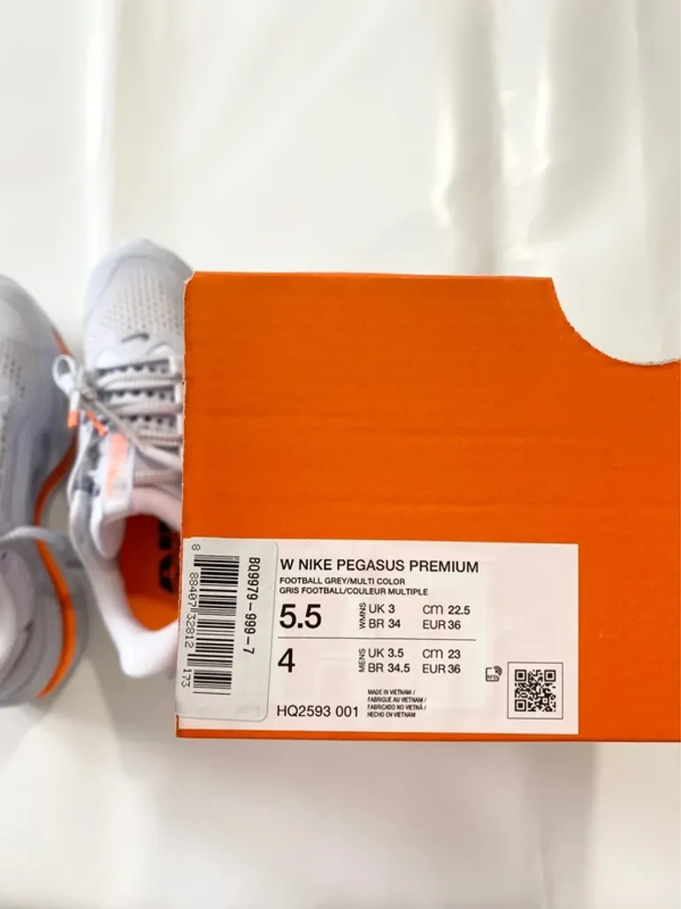 Used Pegasus Nike bike — image 10 of 11