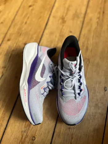 Used Pegasus 41 Running Shoes