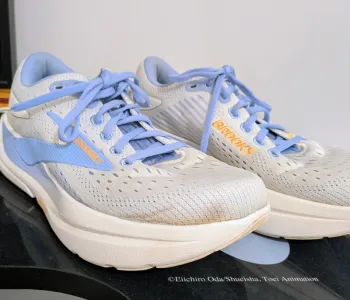 Used Brooks Max Ghost 3 Running Shoes