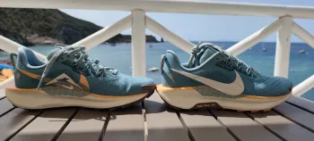Used Pegasus Trail 5 Running Shoes