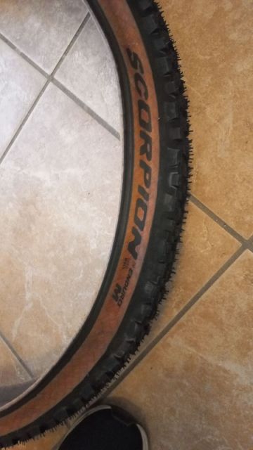 Used Pirelli Scorpion 2026 bike — image 2 of 4