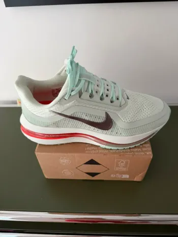 Used Pegasus Air Premium Running Shoes