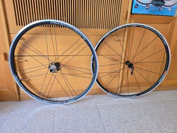 Used Campagnolo Zonda C17 2024 Wheels