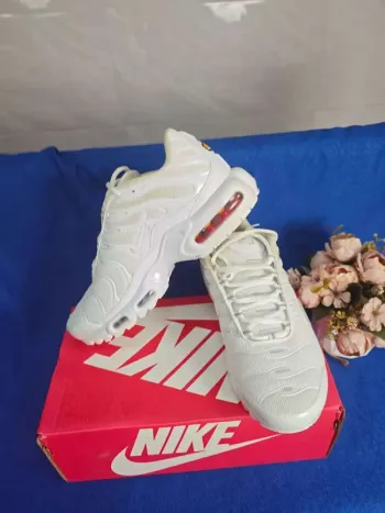 Käytetty Nike Air TL Running Shoes