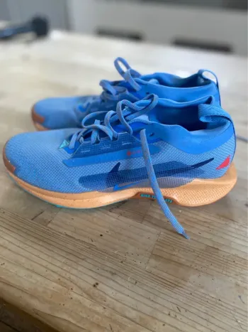 Brugt Pegasus 5 Trail Running Shoes