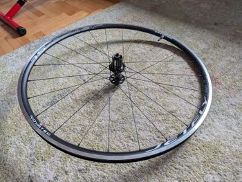 Gebrauchtes Novatec Jetfly SL Wheelset 2022 bike — Bild 5 von 5