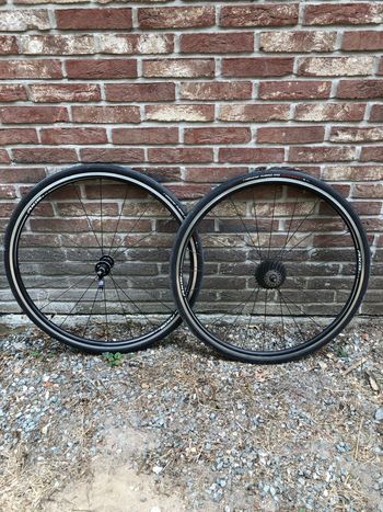 Used Specialized Axis 2.0 Wheelset 2016 Wheels