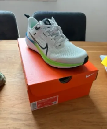 Used Pegasus 39 Running Shoes