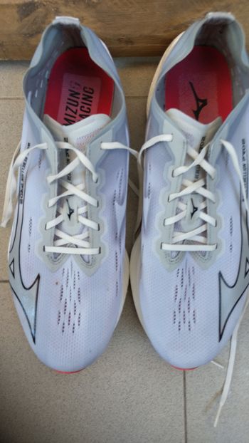 Used Mizuno Wave Rebellion Pro 2 Running Shoes