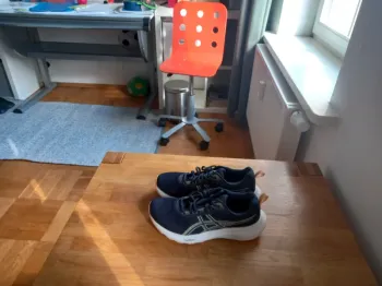 Asics Gel-Windhawk Running Shoes d'occasion