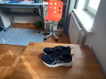 Used Asics Gel-Windhawk Running Shoes