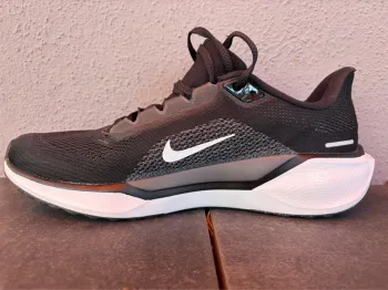 Used Pegasus 41 Running Shoes