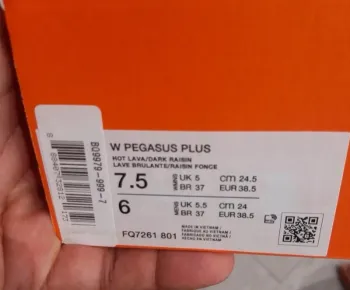 Used Pegasus Plus bike — image 9 of 9