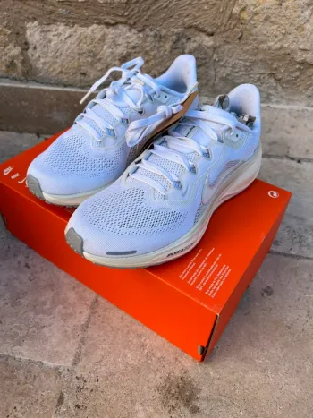 Used Pegasus 41 Running Shoes