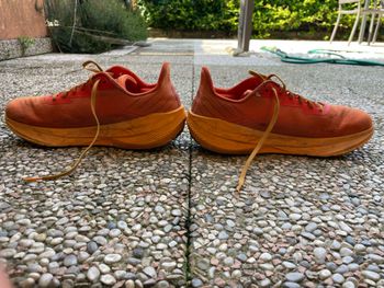 Altra Experience Flow ST 2025 bike usato — immagine 3 di 5