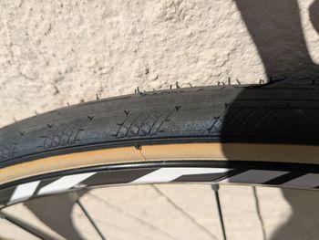 Použité Mavic Aksium Disc Wheelset 2024 bike — obrázek 5 z 5