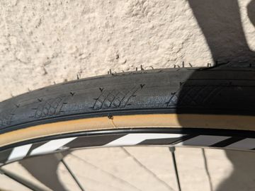 Used Mavic Aksium Disc Wheelset 2024 bike — image 5 of 5
