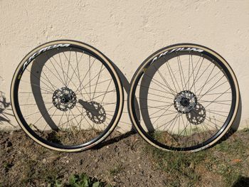 Použité Mavic Aksium Disc Wheelset 2024 bike — obrázek 2 z 5