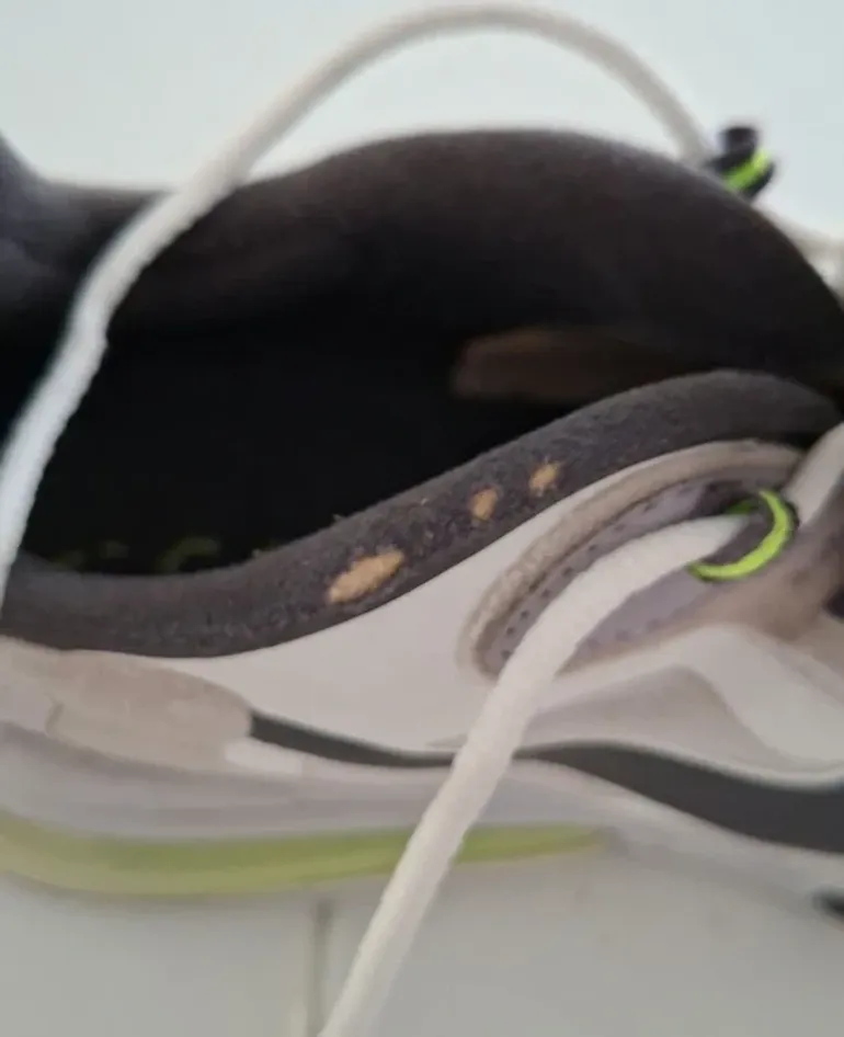 Używany Nike Air Max 270 React bike — zdjęcie 10 z 10