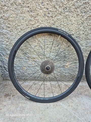 Used Vittoria Elusione Wheelset 2022 Wheels