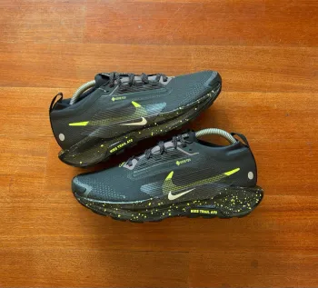 Used Pegasus Trail 5 GTX Running Shoes