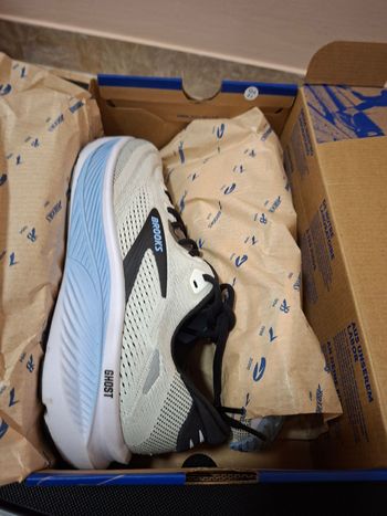 Used Brooks Ghost 18 Running Shoes