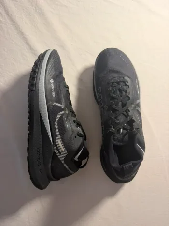 Pegasus Trail Gore-tex Running Shoes d'occasion