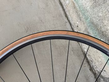 Campagnolo Neutron bike usato — immagine 14 di 23