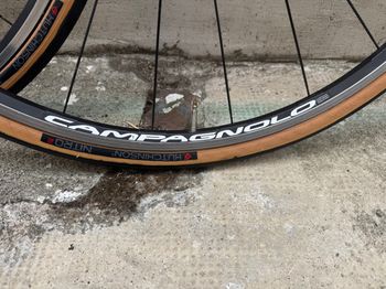 Campagnolo Neutron bike usato — immagine 13 di 23