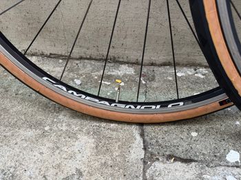 Campagnolo Neutron bike usato — immagine 17 di 23