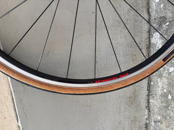 Campagnolo Neutron bike usato — immagine 8 di 23