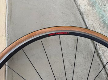 Campagnolo Neutron bike usato — immagine 4 di 23