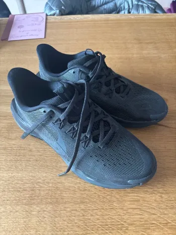 Used Nike Pegasus 5 Running Shoes